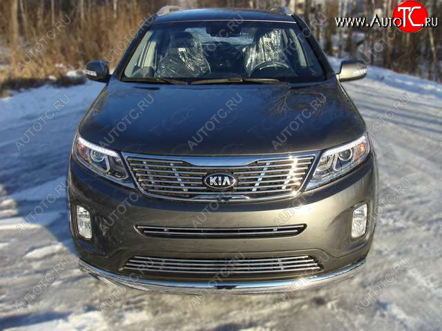 6 099 р. Нижняя декоративная вставка в бампер ТСС Тюнинг KIA Sorento XM рестайлинг (2012-2015) (d 12 мм)  с доставкой в г. Омск