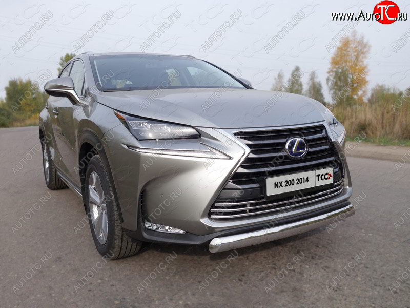 9 349 р. Декоративная вставка решетки радиатора (кроме F-Sport) ТСС Тюнинг Lexus NX200 Z10 дорестайлинг (2014-2017) (d 16 мм)  с доставкой в г. Омск