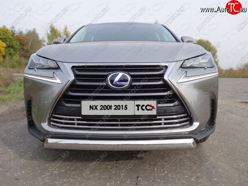 9 349 р. Декоративная вставка решетки радиатора (кроме F-Sport) ТСС Тюнинг Lexus NX200T Z10 (2014-2017) (d 16 мм)  с доставкой в г. Омск