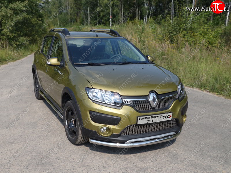 15 549 р. Защита переднего бампера нижняя d60,3 мм ТСС Тюнинг  Renault Sandero Stepway  (B8) (2014-2018) дорестайлинг (нержавейка)  с доставкой в г. Омск