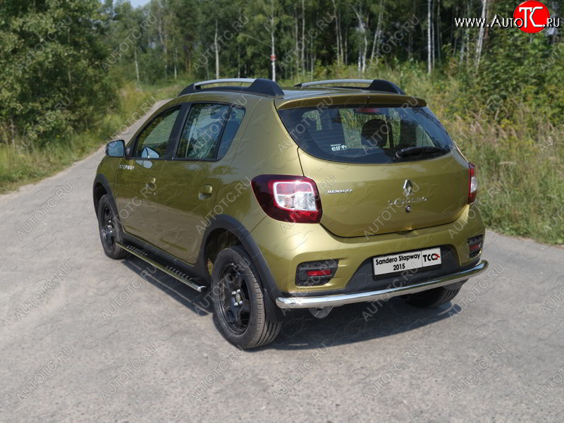 15 549 р. Защита задняя (нержавейка 60,3 мм) ТСС Тюнинг  Renault Sandero Stepway  (B8) (2014-2018) дорестайлинг  с доставкой в г. Омск