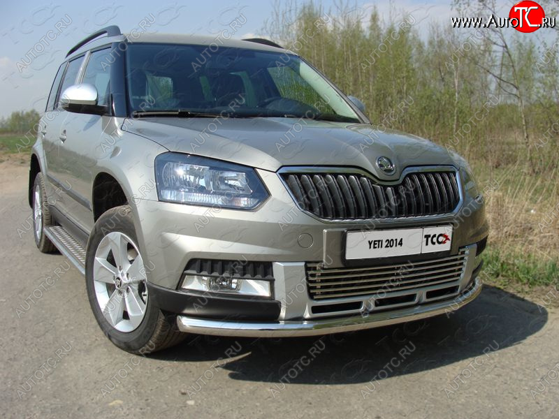 19 549 р. Защита переднего бампера нижняя d60,3 мм ТСС Тюнинг  Skoda Yeti (2013-2018) (нержавейка)  с доставкой в г. Омск