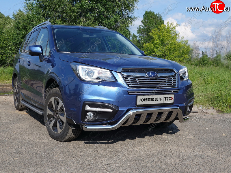 9 349 р. Верхняя декоративная вставка решетки радиатора ТСС Тюнинг  Subaru Forester  SJ (2016-2019) рестайлинг (d 12 мм)  с доставкой в г. Омск