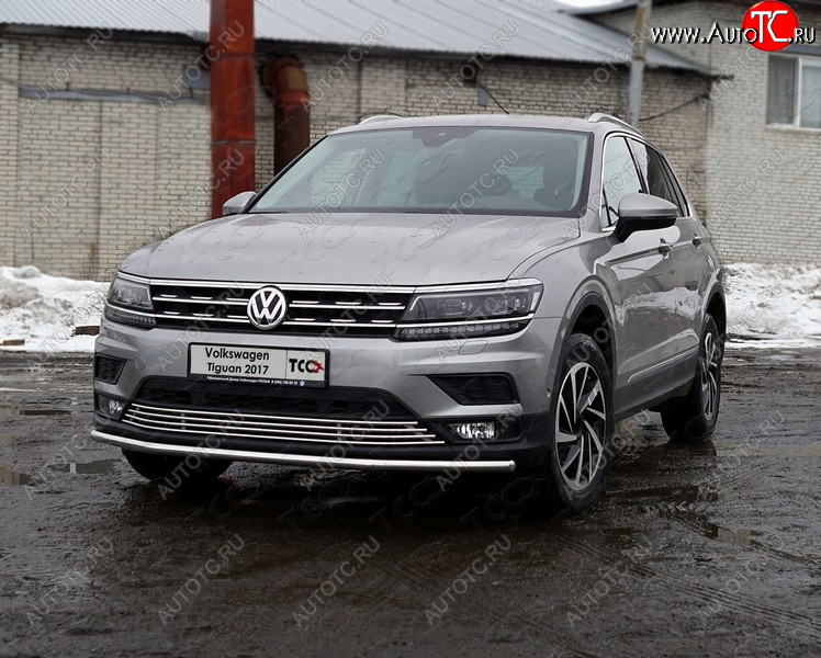 17 699 р. Защита переднего бампера нижняя d42,4 мм ТСС Тюнинг Volkswagen Tiguan Mk2 дорестайлинг (2016-2020) (нержавейка)  с доставкой в г. Омск