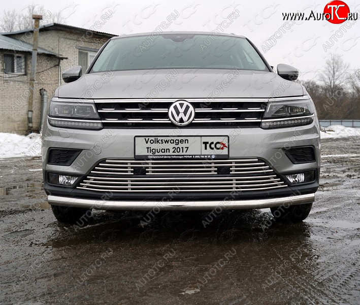 6 499 р. Верхняя декоративная вставка решетки радиатора ТСС Тюнинг  Volkswagen Tiguan  Mk2 (2016-2020) дорестайлинг (d 12 мм)  с доставкой в г. Омск