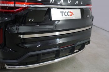 Накладка на заднюю дверь, ТСС Тюнинг Haval (Хавал) F7 (Ф7) (2022-2024)  рестайлинг