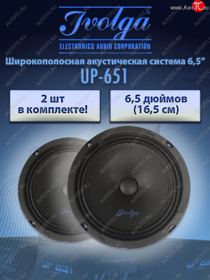 2 499 р. Широкополосная акустическая система Ivolga UP-651 ASHOK LEYLAND BOSS 1223 (2000-2024)  с доставкой в г. Омск