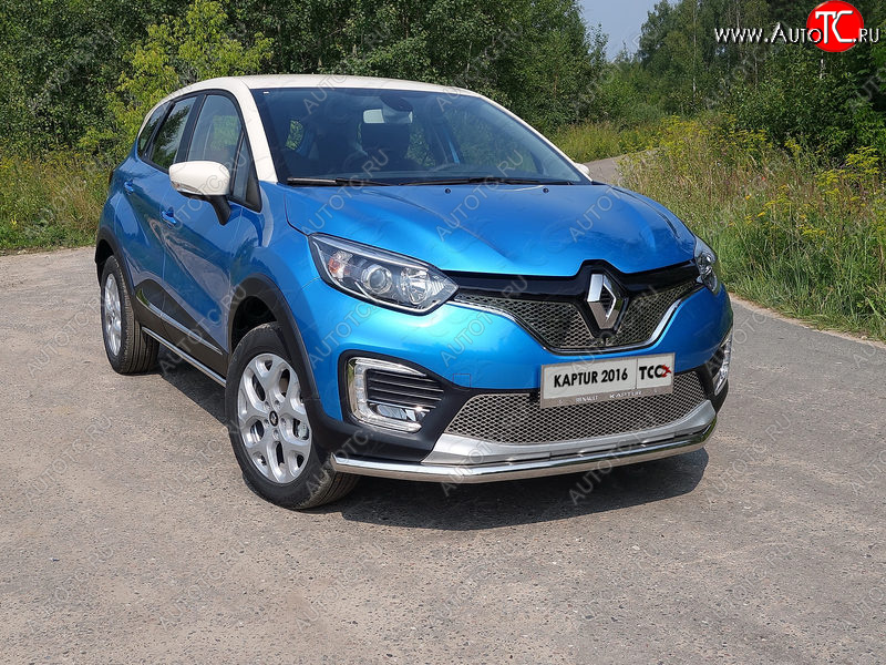 6 449 р. Рамка гос. номера ТСС Тюнинг  Renault Kaptur (2016-2020) дорестайлинг (нержавейка)  с доставкой в г. Омск