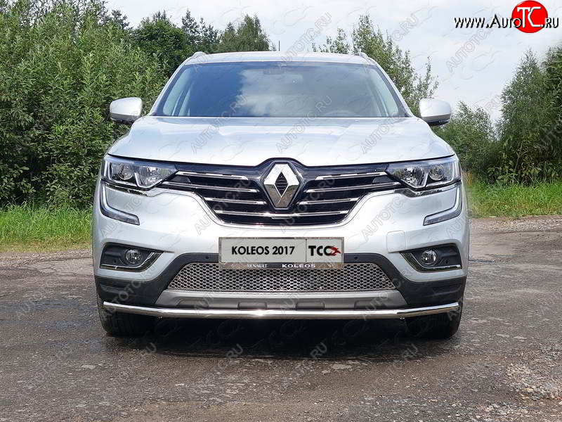 6 449 р. Рамка гос. номера ТСС Тюнинг Renault Koleos 2 (2016-2025) (нержавейка)  с доставкой в г. Омск