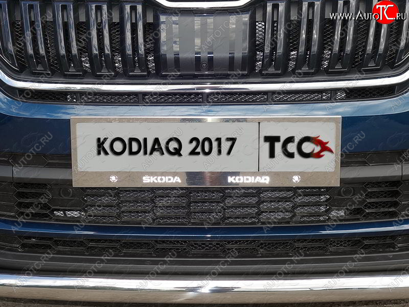 6 449 р. Рамка гос. номера ТСС Тюнинг  Skoda Kodiaq  NU7 (2017-2021) дорестайлинг (нержавейка)  с доставкой в г. Омск