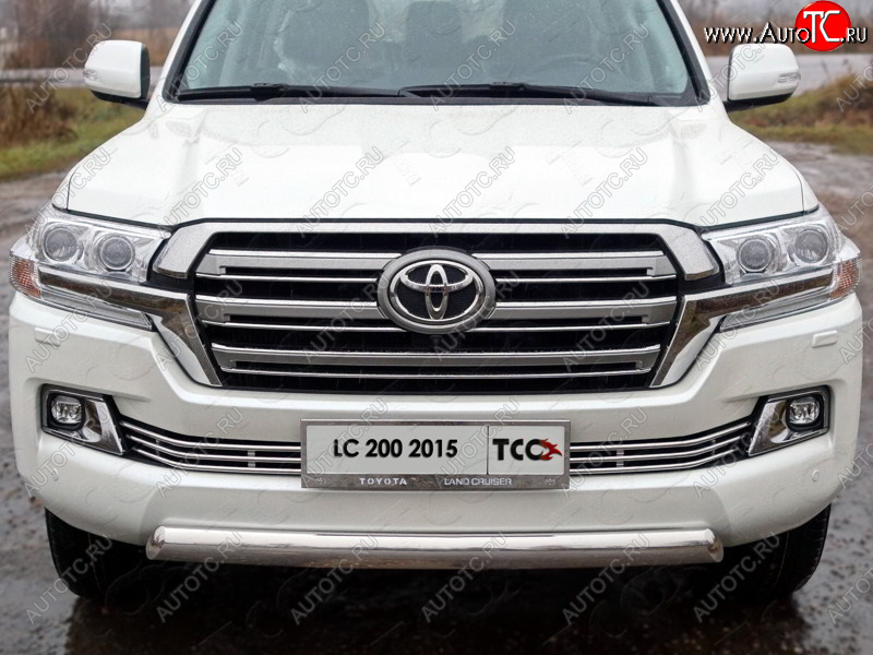 6 249 р. Рамка гос. номера ТСС Тюнинг Toyota Land Cruiser 200 2-ой рестайлинг (2015-2021) (нержавейка)  с доставкой в г. Омск