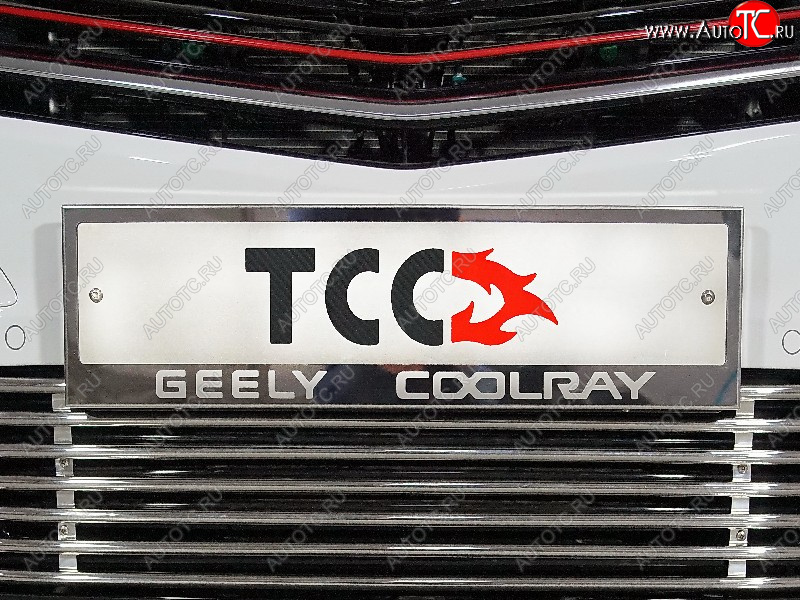 5 299 р. Рамка гос. номера ТСС Тюнинг  Geely Coolray  SX11 (2018-2023) дорестайлинг (нержавейка)  с доставкой в г. Омск