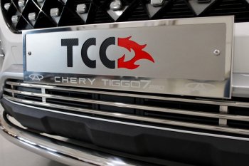 Рамка гос. номера ТСС Тюнинг Chery Tiggo 7 PRO (2019-2024)  (нержавейка)