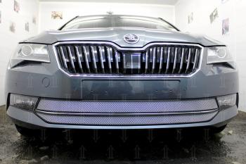 4 199 р. Защита радиатора (2 части) Стрелка11 Стандарт  Skoda Superb ( B8 (3V),  B8 (3V5)) (2015-2019) лифтбэк дорестайлинг, универсал дорестайлинг (хром)  с доставкой в г. Омск. Увеличить фотографию 2