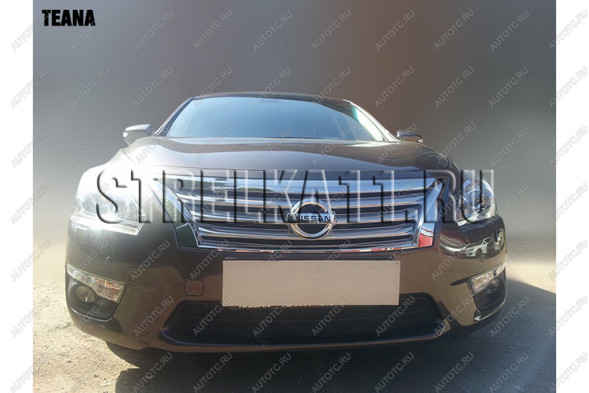 4 649 р. Защита радиатора Стрелка11 PREMIUM Nissan Teana 3 L33 дорестайлинг (2014-2020) (черная)  с доставкой в г. Омск