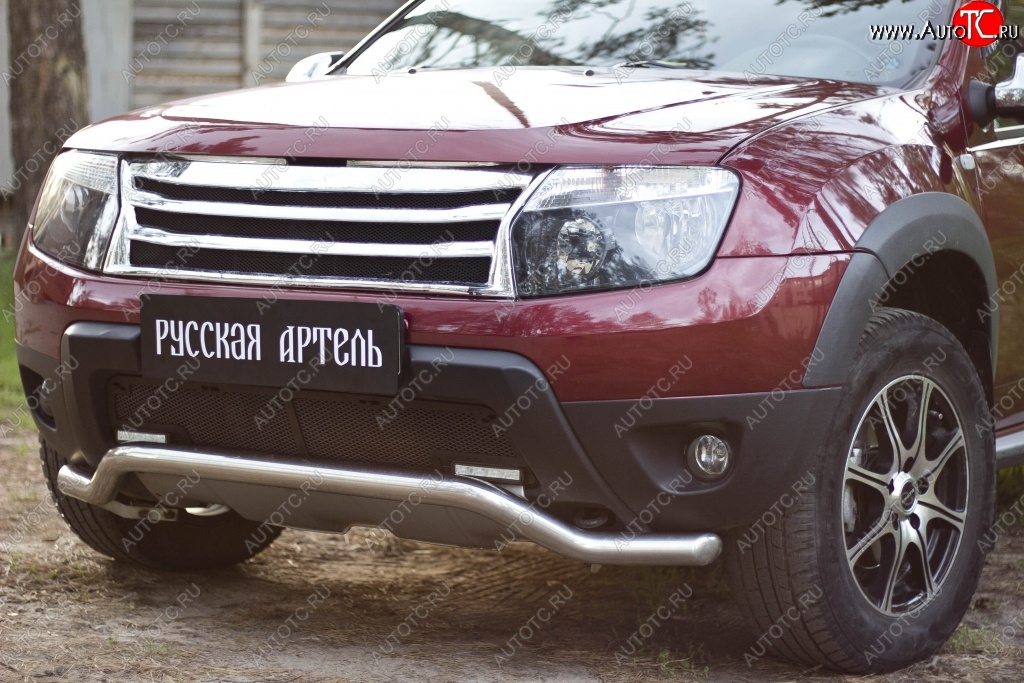 1 899 р. Защитная сетка решетки переднего бампера (c дхо и обвесом) РА  Renault Duster  HS (2010-2015) дорестайлинг  с доставкой в г. Омск