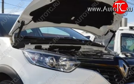 2 199 р. Газовые упоры капота Berkut Renault Kaptur дорестайлинг (2016-2020)  с доставкой в г. Омск