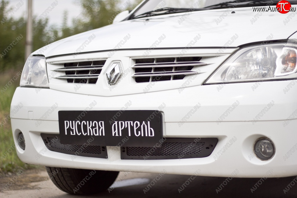 1 799 р. Защитная сетка решетки переднего бампера РА Renault Logan 1 дорестайлинг (2004-2010)  с доставкой в г. Омск