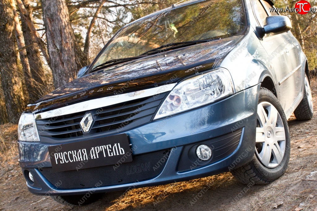 799 р. Защитная сетка решетки переднего бампера РА  Renault Logan  1 (2010-2016) рестайлинг  с доставкой в г. Омск