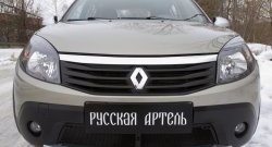 1 869 р. Защитная сетка решетки переднего бампера РА  Renault Sandero Stepway  (BS) (2010-2014)  с доставкой в г. Омск. Увеличить фотографию 3