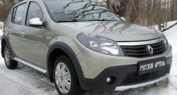 1 869 р. Защитная сетка решетки переднего бампера РА  Renault Sandero Stepway  (BS) (2010-2014)  с доставкой в г. Омск. Увеличить фотографию 4