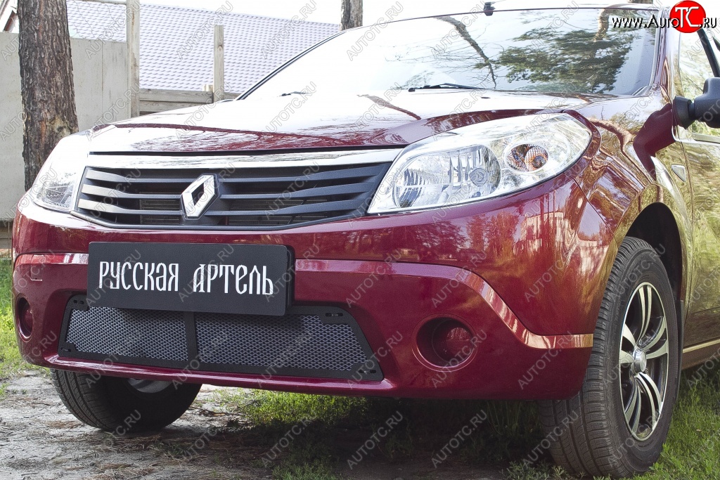 1 799 р. Защитная сетка решетки переднего бампера РА  Renault Sandero  (BS) (2009-2014)  с доставкой в г. Омск