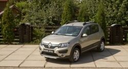 4 099 р. Молдинги дверей RA (комплект) Renault Sandero (B8) дорестайлинг (2014-2018) (Поверхность глянец (под окраску), Неокрашенные)  с доставкой в г. Омск. Увеличить фотографию 2