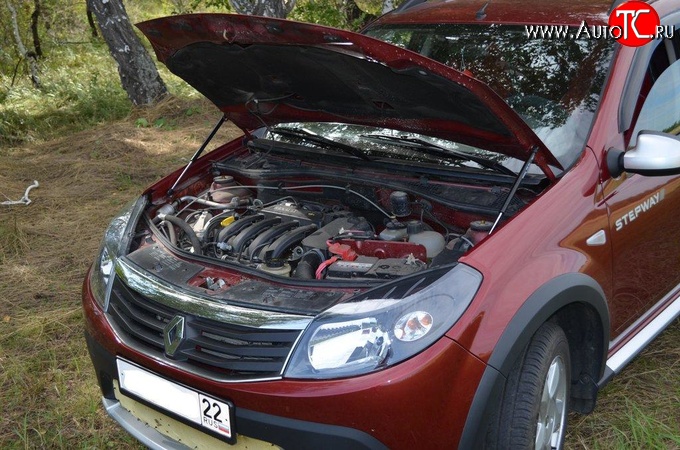 2 969 р. Упор капота Sport. Renault Sandero (BS) (2009-2014)  с доставкой в г. Омск