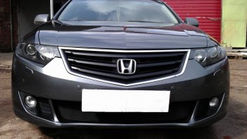 Защитная сетка радиатора в бампер (ячейка 3х7 мм) Стрелка11 Стандарт Honda (Хонда) Accord (Аккорд) ( CU,  CW) (2008-2011) CU, CW седан дорестайлинг, универсал дорестайлинг