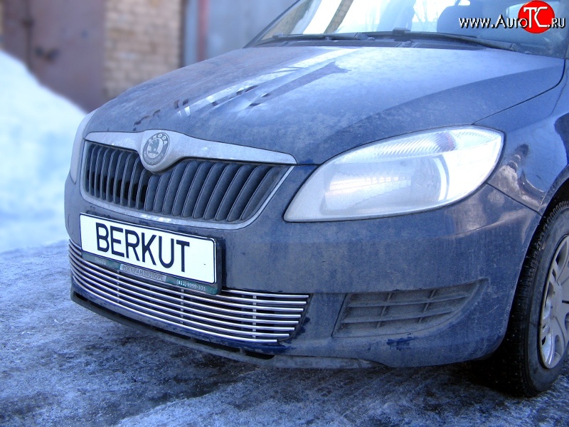 5 899 р. Декоративная вставка воздухозаборника Berkut Skoda Fabia Mk2 универсал дорестайлинг (2007-2010)  с доставкой в г. Омск