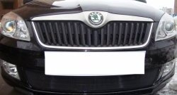 1 469 р. Сетка на бампер (рестайлинг) Russtal (черная) Skoda Fabia Mk2 универсал дорестайлинг (2007-2010)  с доставкой в г. Омск. Увеличить фотографию 4