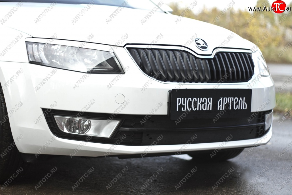 1 199 р. Зимняя заглушка решетки переднего бампера РА  Skoda Octavia  A7 (2012-2020) дорестайлинг лифтбэк, дорестайлинг универсал, рестайлинг универсал  с доставкой в г. Омск