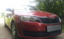 2 339 р. Сетка на бампер Russtal (черная) Skoda Rapid NH3 дорестайлинг лифтбэк (2012-2017)  с доставкой в г. Омск. Увеличить фотографию 3