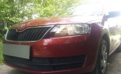 Сетка на бампер Russtal (черная) Skoda (Шкода) Rapid (Рапид)  NH3 (2012-2017) NH3 дорестайлинг лифтбэк