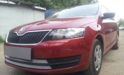 2 399 р. Сетка на бампер Russtal (хром) Skoda Rapid NH3 дорестайлинг лифтбэк (2012-2017)  с доставкой в г. Омск. Увеличить фотографию 4