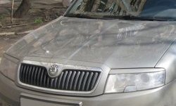 1 649 р. Реснички на фары CT  Skoda Superb  седан (2001-2006) 3U дорестайлинг (Неокрашенные)  с доставкой в г. Омск. Увеличить фотографию 2