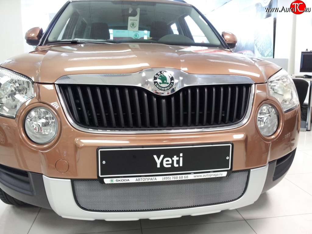 2 199 р. Сетка на бампер Russtal (хром) Skoda Yeti (2009-2013)  с доставкой в г. Омск