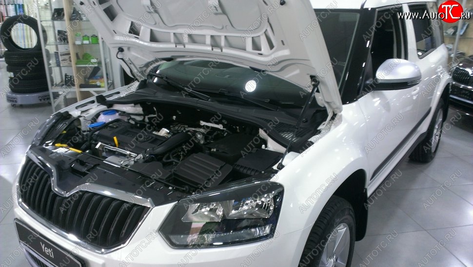 2 199 р. Газовый упор капота Berkut Skoda Yeti (2009-2013)  с доставкой в г. Омск