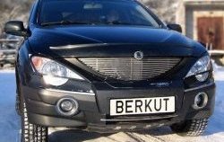 5 999 р. Декоративная вставка решетки радиатора Berkut SSANGYONG Actyon Sport (2006-2011)  с доставкой в г. Омск. Увеличить фотографию 1