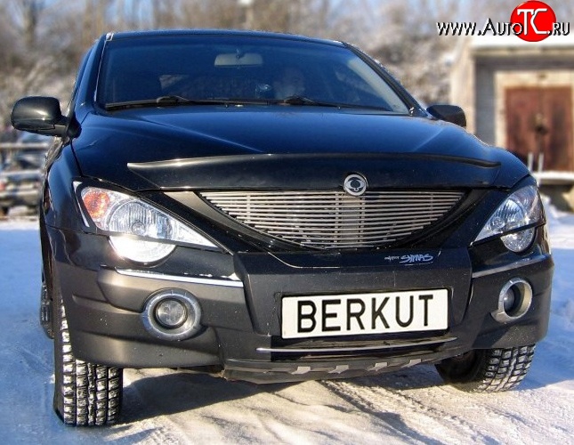 5 999 р. Декоративная вставка решетки радиатора Berkut SSANGYONG Actyon Sport (2006-2011)  с доставкой в г. Омск