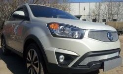 1 539 р. Сетка в решетку радиатора Russtal  SSANGYONG Actyon (2013-2021) рестайлинг (хром)  с доставкой в г. Омск. Увеличить фотографию 2