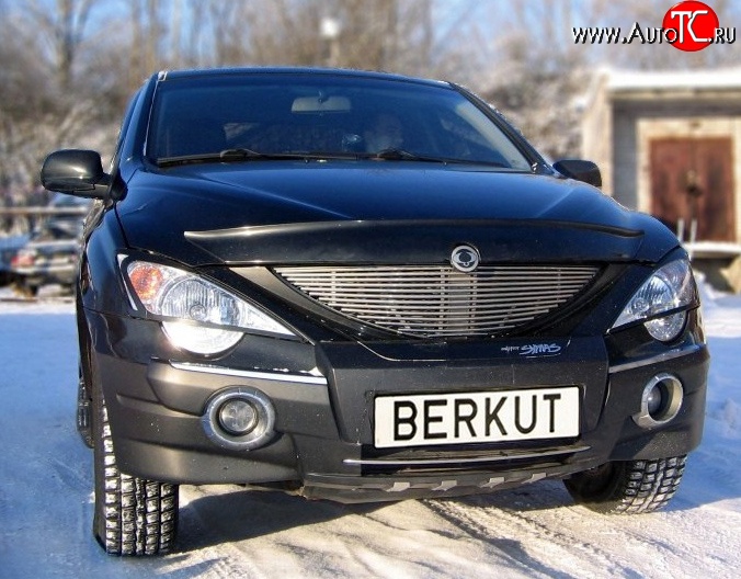 5 999 р. Декоративная вставка решетки радиатора Berkut SSANGYONG Actyon 1 (2006-2010)  с доставкой в г. Омск