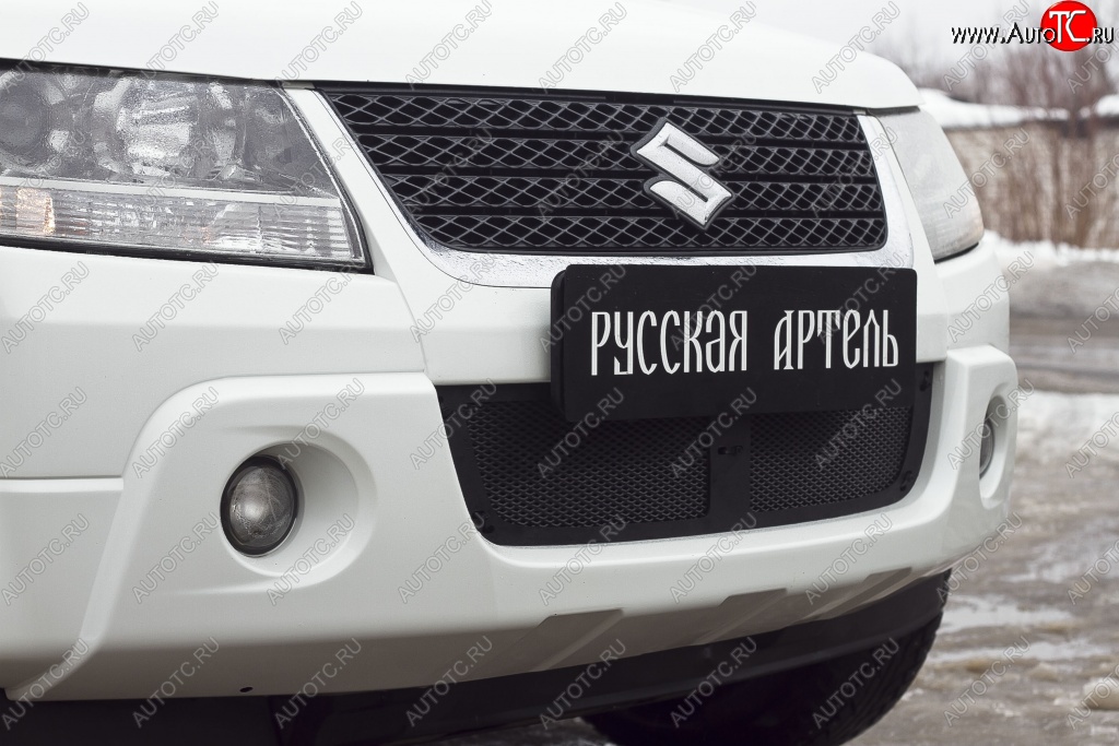 1 669 р. Защитная сетка решетки переднего бампера РА  Suzuki Grand Vitara ( JT 3 двери,  JT 5 дверей) (2008-2012) 1-ый рестайлинг, 1-ый рестайлинг  с доставкой в г. Омск