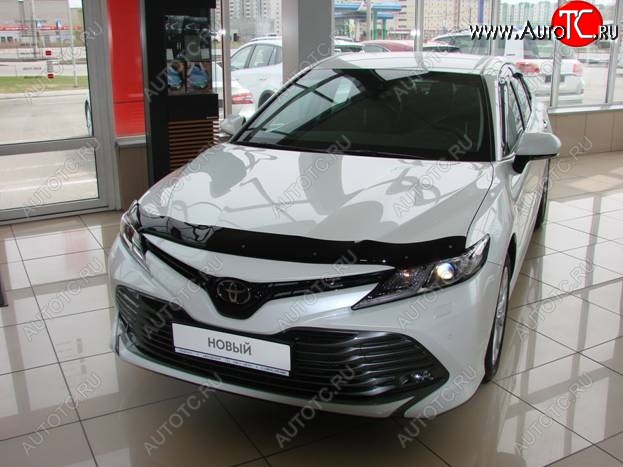 2 879 р. Дефлектор капота SIM Toyota Camry XV70 дорестайлинг (2017-2021)  с доставкой в г. Омск