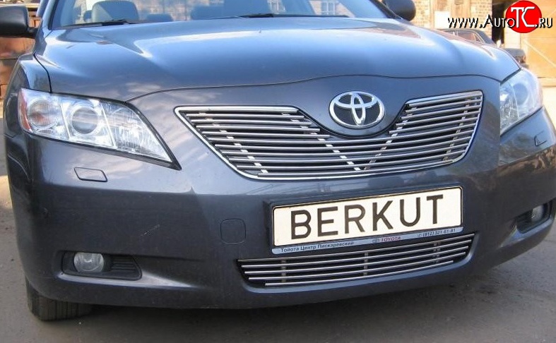 6 499 р. Декоративная вставка решетки радиатора Berkut Toyota Camry XV40 рестайлинг (2009-2011)  с доставкой в г. Омск