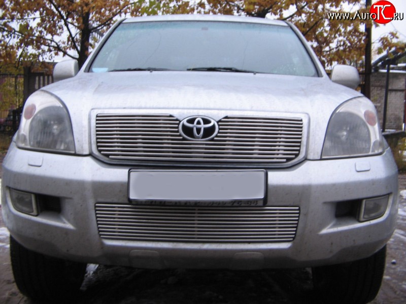 4 399 р. Декоративная вставка воздухозаборника Berkut Toyota Land Cruiser Prado J120 (2002-2009)  с доставкой в г. Омск