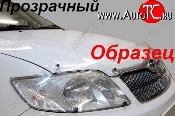 2 159 р. Защита фар (J120-J125) CA-Plastic  Toyota Land Cruiser Prado  J120 (2002-2009) (Classic прозрачный)  с доставкой в г. Омск