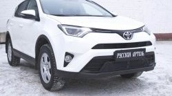 329 р. Реснички на фары RA  Toyota RAV4  XA40 (2015-2019) 5 дв. рестайлинг (Неокрашенные)  с доставкой в г. Омск. Увеличить фотографию 2