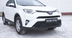 1 689 р. Защитная сетка решетки переднего бампера РА  Toyota RAV4  XA40 (2015-2019) 5 дв. рестайлинг  с доставкой в г. Омск. Увеличить фотографию 2