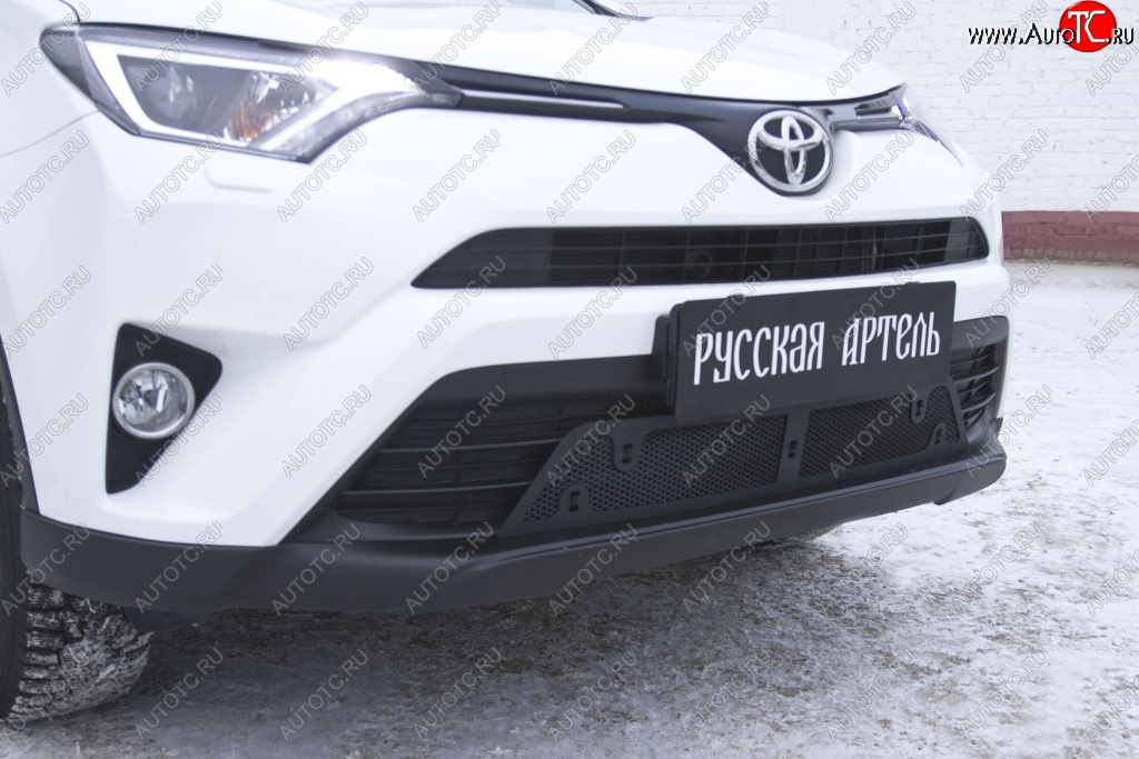 1 689 р. Защитная сетка решетки переднего бампера РА  Toyota RAV4  XA40 (2015-2019) 5 дв. рестайлинг  с доставкой в г. Омск